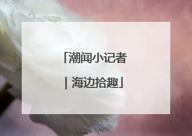 潮闻小记者｜海边拾趣